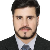 Sayed Mehdi Hussain