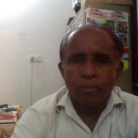 Project Coordinator