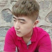 高英男
