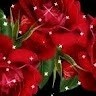 Umesh Narware