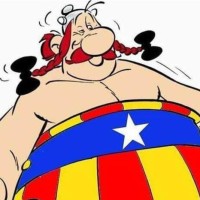 Joan Carles Rodriguez