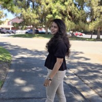Nandini S