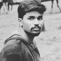 Hariharasudhan T