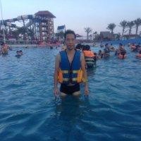 洪东宇