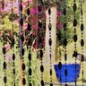 Nicola Crowhurst