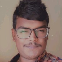 Vivek M Race