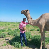 Abdirahman Salah