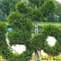 Rishi Pandey
