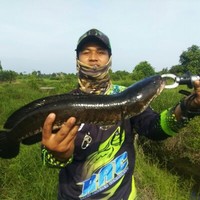 Arya Abimanyu