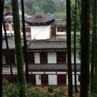 王全庆