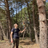 Luis Lapeña Alegría