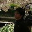 naoki nakayama