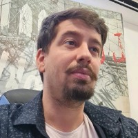 Vinicius Ferreira Amim