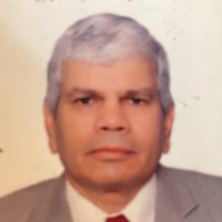 Mostafa Elshamy