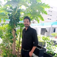 Muhammad Saad Afroze