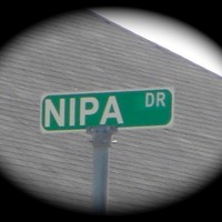 Nipa Polnoi