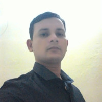 Punit Ray