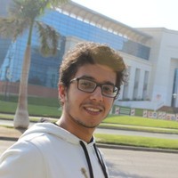 Anas Sultan