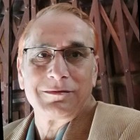Nalin Modha