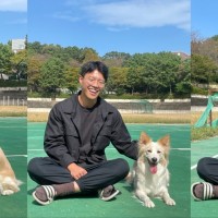 조해인