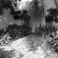 Jorge Salazar Lopez Llerenas