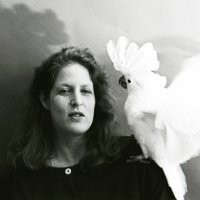 Arden Johnson-Petrov