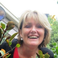 Terri Starkie