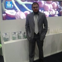 Mohamed Hussien