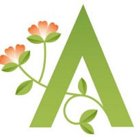 Anila Amber