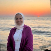 Noha Nour