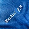 Mondial F.B. Trasporti Nazionali e Internazionali