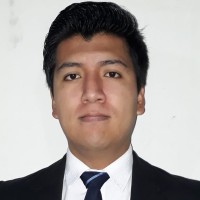 RONALD FAVIAN RAMIREZ ERIQUE