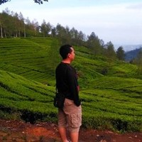 Niko Septrianto