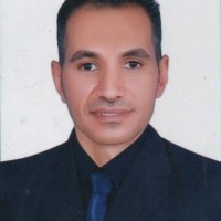 shehata hassan