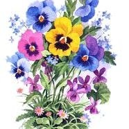 Linda Johnson