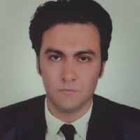 Maged Assem Soliman Mossallam