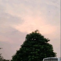 Sapna Koli