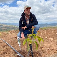 Mauricio Ignacio Auger Elissalde