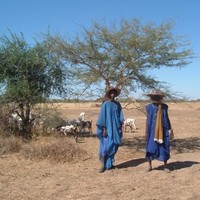 Ayao Missohou