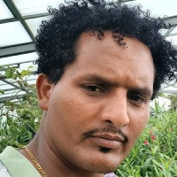 Yowhannes Mhreteab