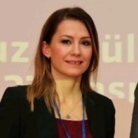 Hulya YILMAZ TEMEL, Ph.D., Lecturer