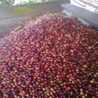 JHON FREDDDY LOAIZA HERNANDEZ