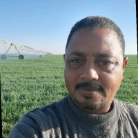 hassan badry