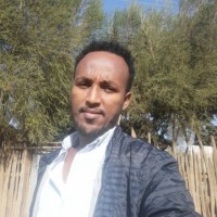 dejene hailu