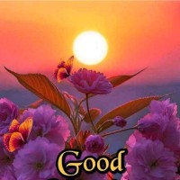 Sunil Kumar