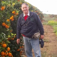 Dubi Raber