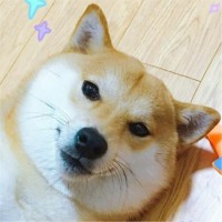 韩庆松