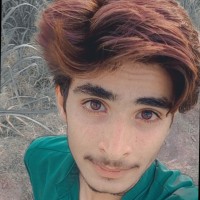 Rana Ali