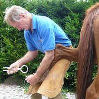 Alastair Mitchell