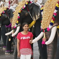 Anju Varghese, Bsc(Rn), (Wes)®